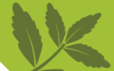 Webinar registration open: SWEET Project updates and findings 20 May, 2pm CET