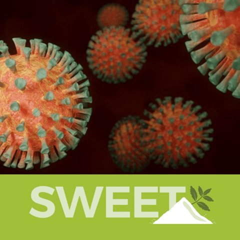 SWEET Team hard at work addressing COVID-19