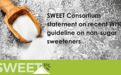 SWEET Consortium position: WHO guideline on non-sugar sweeteners